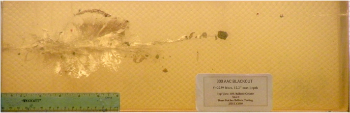 Figure 2 — Ballistic gelatin fired with .300 AAC Blackout. Terminal performance is where the cartridge earns its keep at short range, and it is also where bullet selection matters far more than velocity does.…