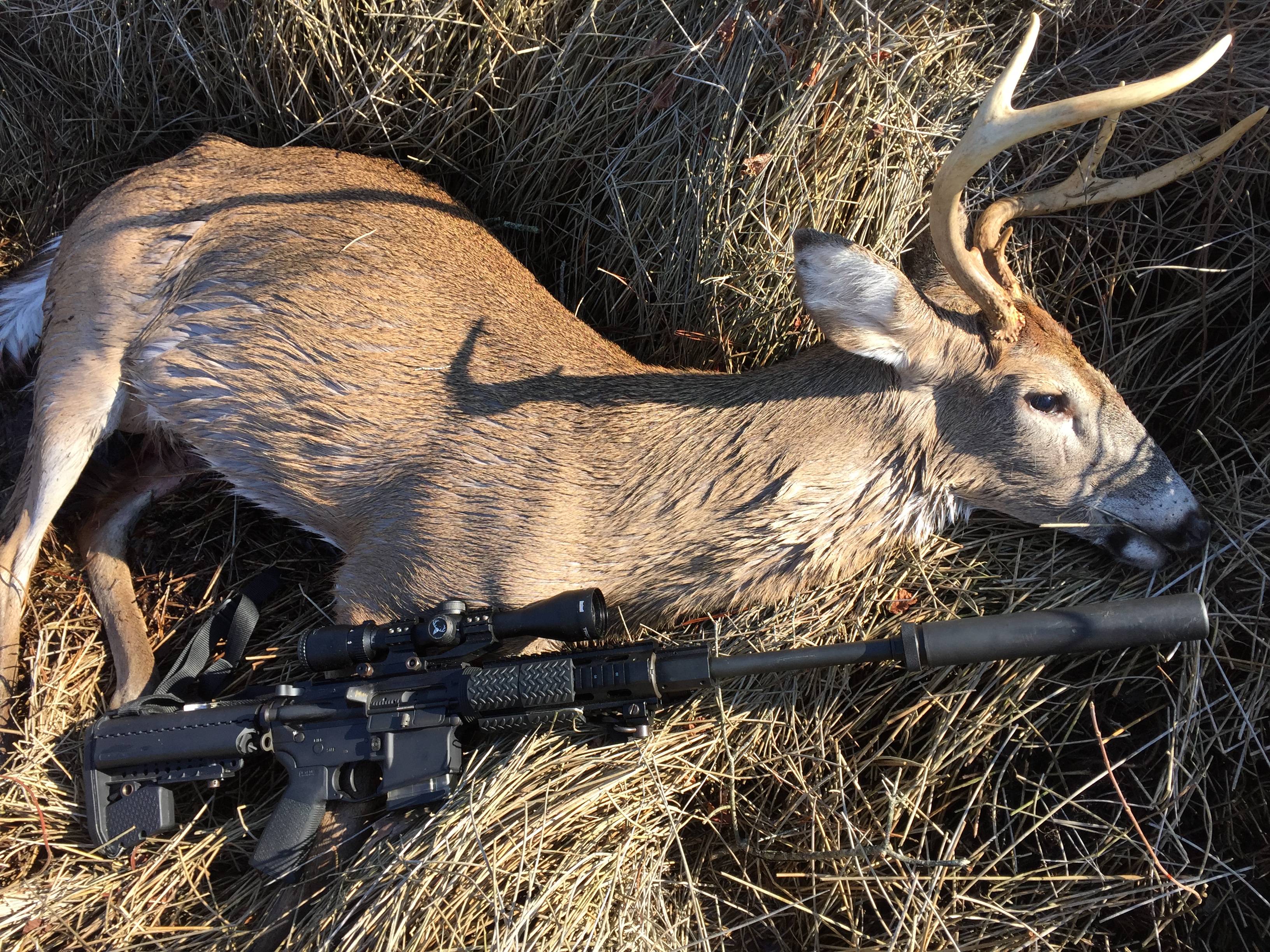 Figure 3 — A whitetail taken with a suppressed .300 Blackout. Michigan permits suppressor use for all game and all seasons, and as of September 2026 permits any legal firearm across the Lower Peninsula. Sourc…
