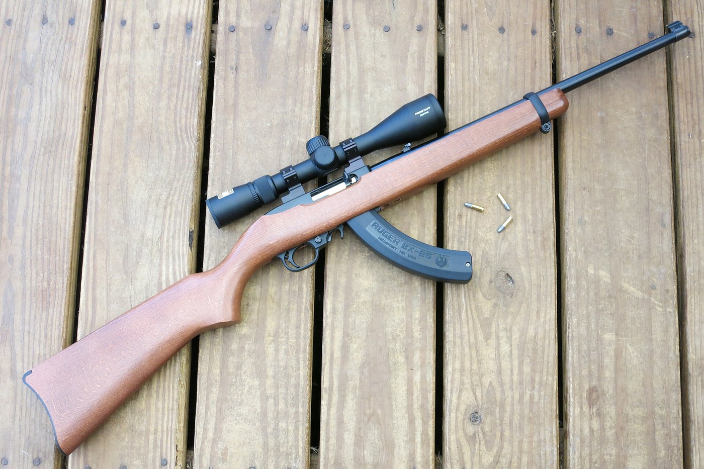 Ruger 10/22