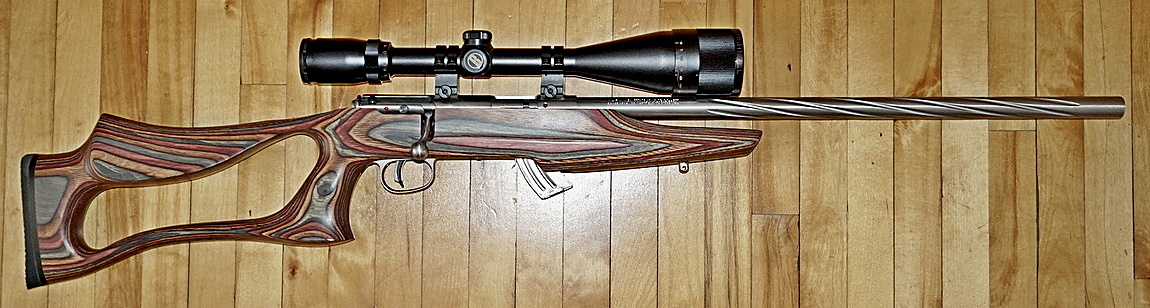 Figure 1 — A Savage Mark II BSEV in .22 LR, a laminated thumbhole rifle on Savage's small rimfire action. It is not a 93R17, but it is the closest freely licensed photograph of the family: the 93R17 BTV and B…