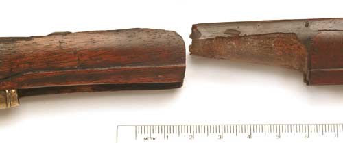 Figure 6 — The scarf joint opened in the forend of the Beeman rifle: original European walnut at left, replacement American walnut at right, as identified by Ernest Cowan. Photograph by Robert D. Beeman, 2005…